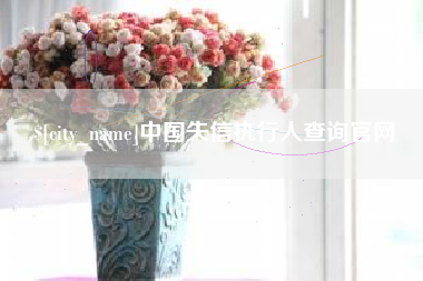 六安中国失信执行人查询官网