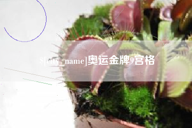 六安奥运金牌9宫格