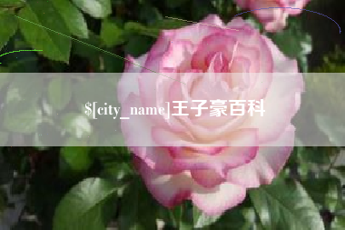 六安王子豪百科