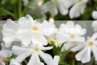 六安中国地图像素版