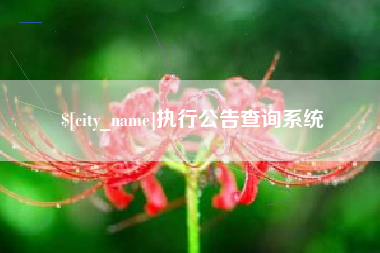 六安执行公告查询系统