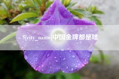六安中国金牌都是啥