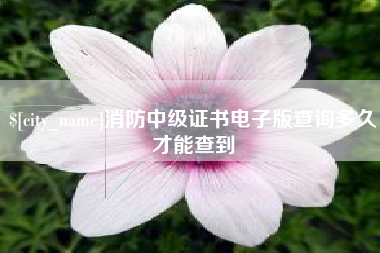 六安消防中级证书电子版查询多久才能查到