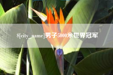 六安男子5000米世界冠军