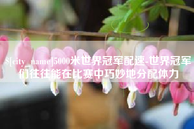 六安5000米世界冠军配速-世界冠军们往往能在比赛中巧妙地分配体力