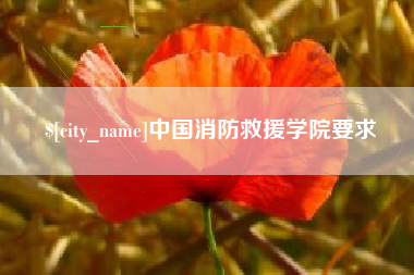 六安中国消防救援学院要求