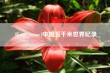 六安中国五千米世界纪录