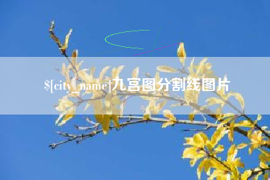 六安九宫图分割线图片