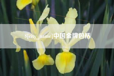 六安中国金牌包括