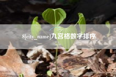 六安九宫格数字排序
