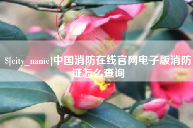 六安中国消防在线官网电子版消防证怎么查询