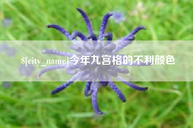 六安今年九宫格的不利颜色