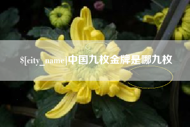 六安中国九枚金牌是哪九枚