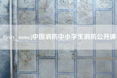 六安中国消防中小学生消防公开课