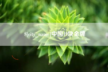 六安中国19块金牌