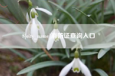 六安消防证查询入口