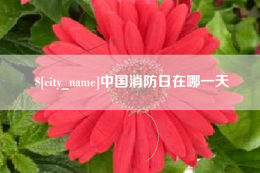 六安中国消防日在哪一天