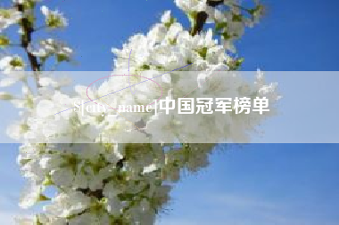 六安中国冠军榜单