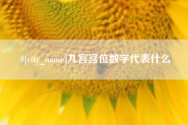 六安九宫宫位数字代表什么