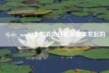 六安全国消防日是从哪年发起的