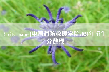 六安中国消防救援学院2024年招生分数线