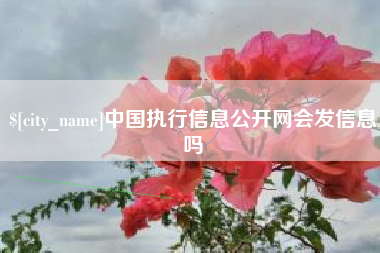 六安中国执行信息公开网会发信息吗