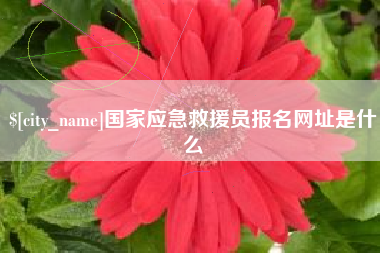 六安国家应急救援员报名网址是什么