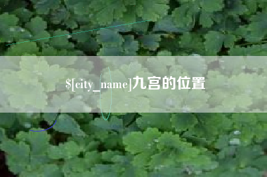 六安九宫的位置