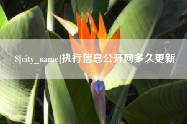 六安执行信息公开网多久更新