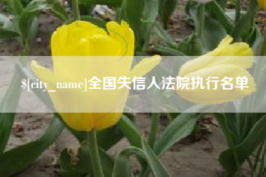 六安全国失信人法院执行名单