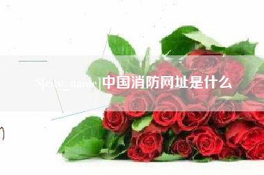 六安中国消防网址是什么