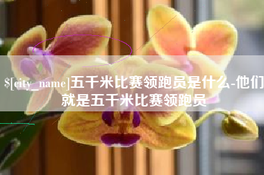 六安五千米比赛领跑员是什么-他们就是五千米比赛领跑员