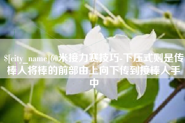 六安60米接力赛技巧-下压式则是传棒人将棒的前部由上向下传到接棒人手中