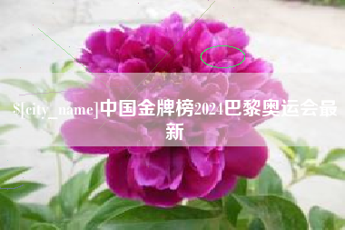 六安中国金牌榜2024巴黎奥运会最新