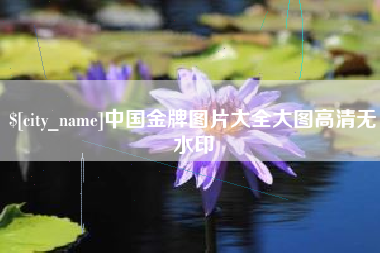 六安中国金牌图片大全大图高清无水印