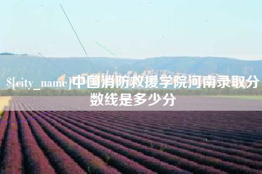 六安中国消防救援学院河南录取分数线是多少分