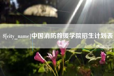 六安中国消防救援学院招生计划表