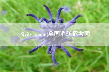 六安全国消防招考网