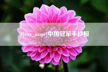 六安中国冠军手抄报