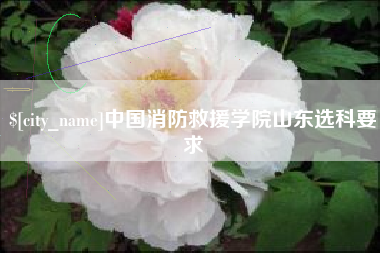 六安中国消防救援学院山东选科要求