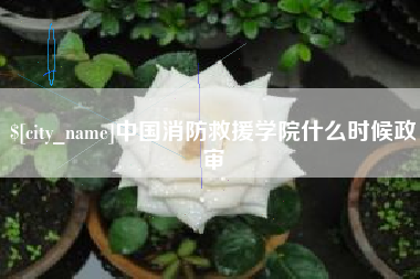 六安中国消防救援学院什么时候政审