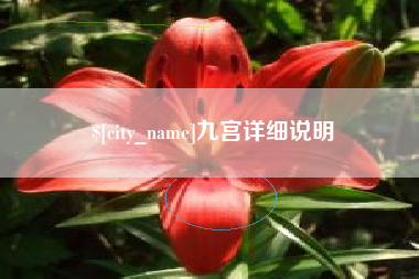 六安九宫详细说明