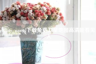 六安下载免费卫星地图高清能看见人
