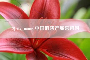 六安中国消防产品采购网