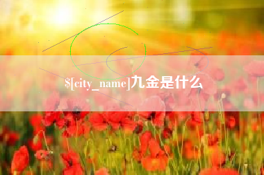 六安九金是什么