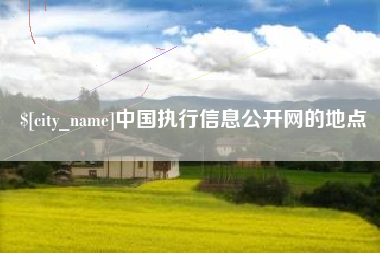 六安中国执行信息公开网的地点