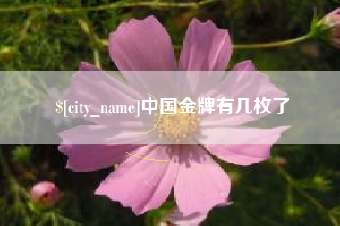 六安中国金牌有几枚了