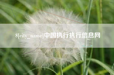 六安中国执行执行信息网