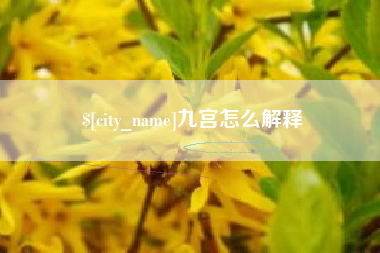 六安九宫怎么解释