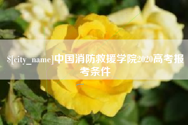 六安中国消防救援学院2020高考报考条件